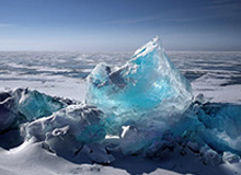 大发官方：从信任到共创的数字生活新入口