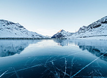 大发官方：从信任到共创的数字生活新入口